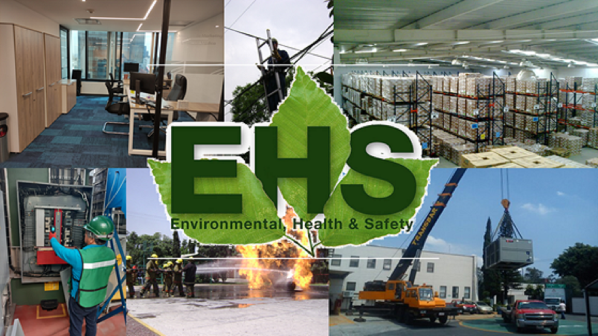 Consultoría y capacitación especializada